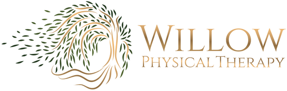 Willow Physical Therapy